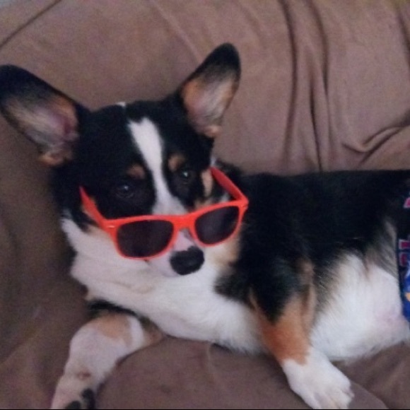 Meet your Posher, Corrine - Picture 1 of 1